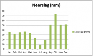 Neerslag